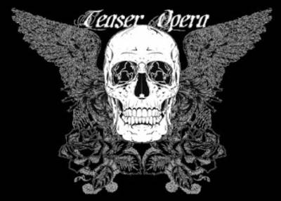 logo Teaser Opera